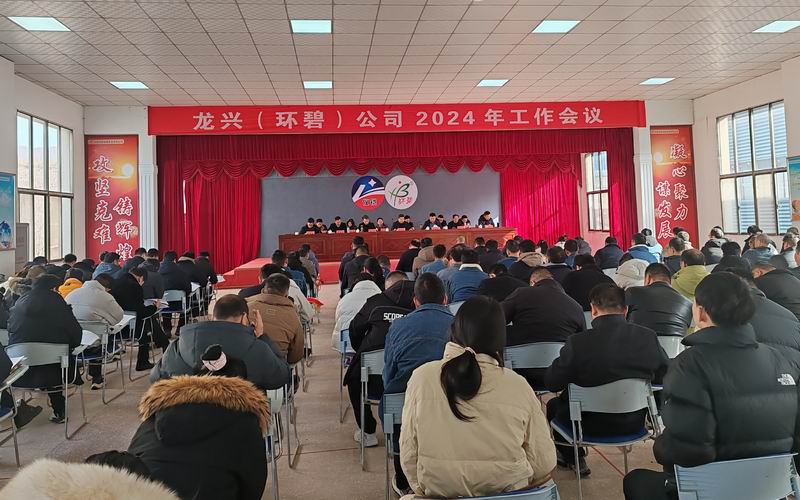 龙兴（HTH体育官方网站（中国）有限公司）公司召开2024年工作会议