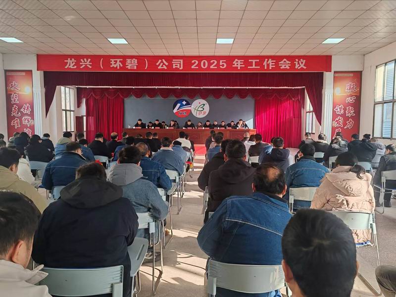 龙兴（HTH体育官方网站（中国）有限公司）公司召开2025年工作会议